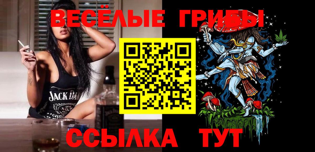 Полысаево  Псилоцибиновые грибы ЛСД  Вход с VPN 